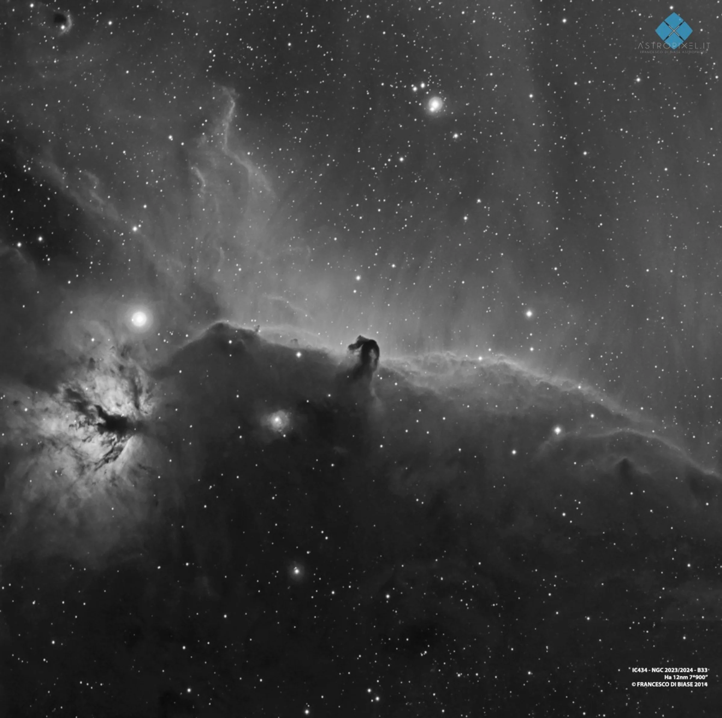 The Horsehead Nebula - Halpha