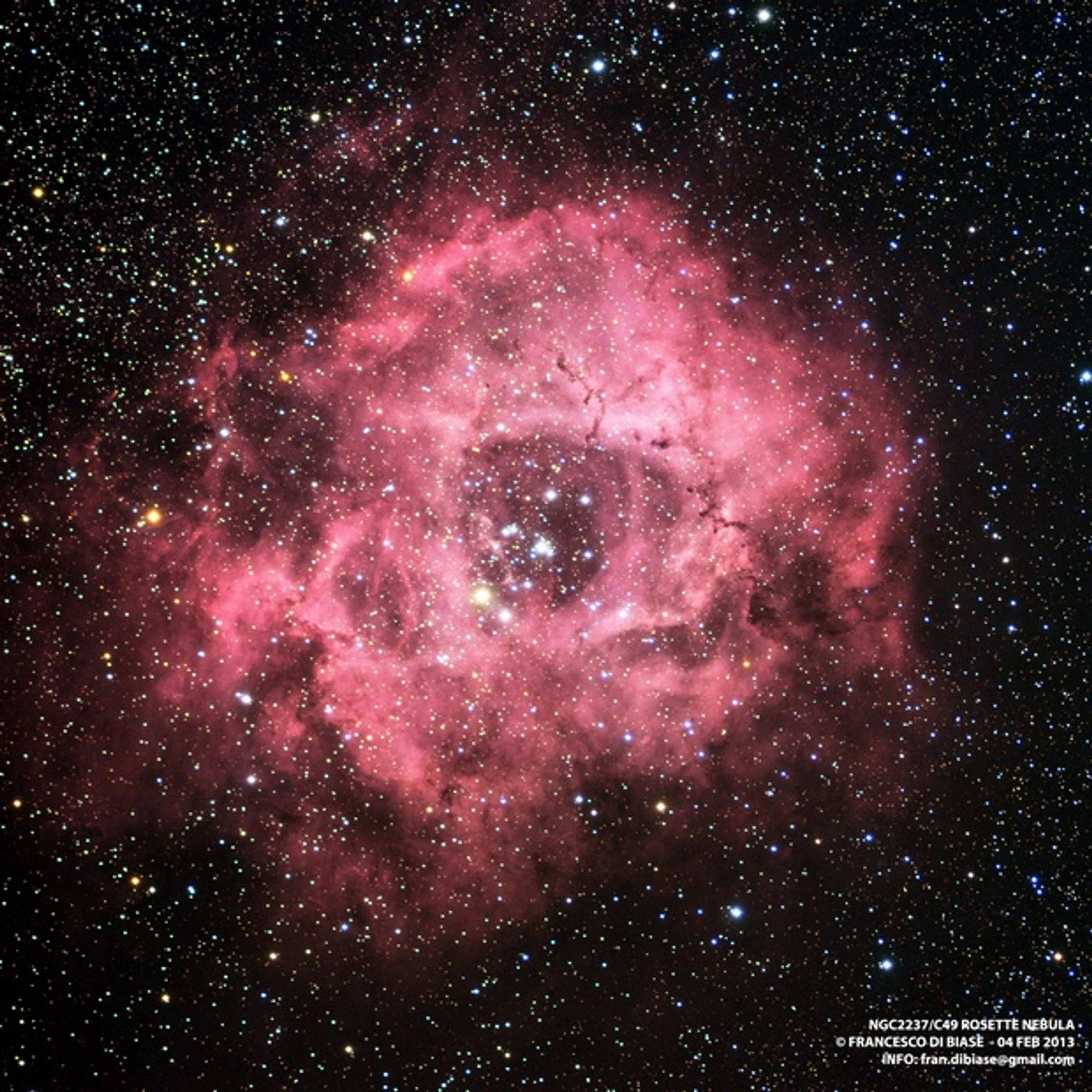 NGC 2237 / C 49 Rosette Nebula