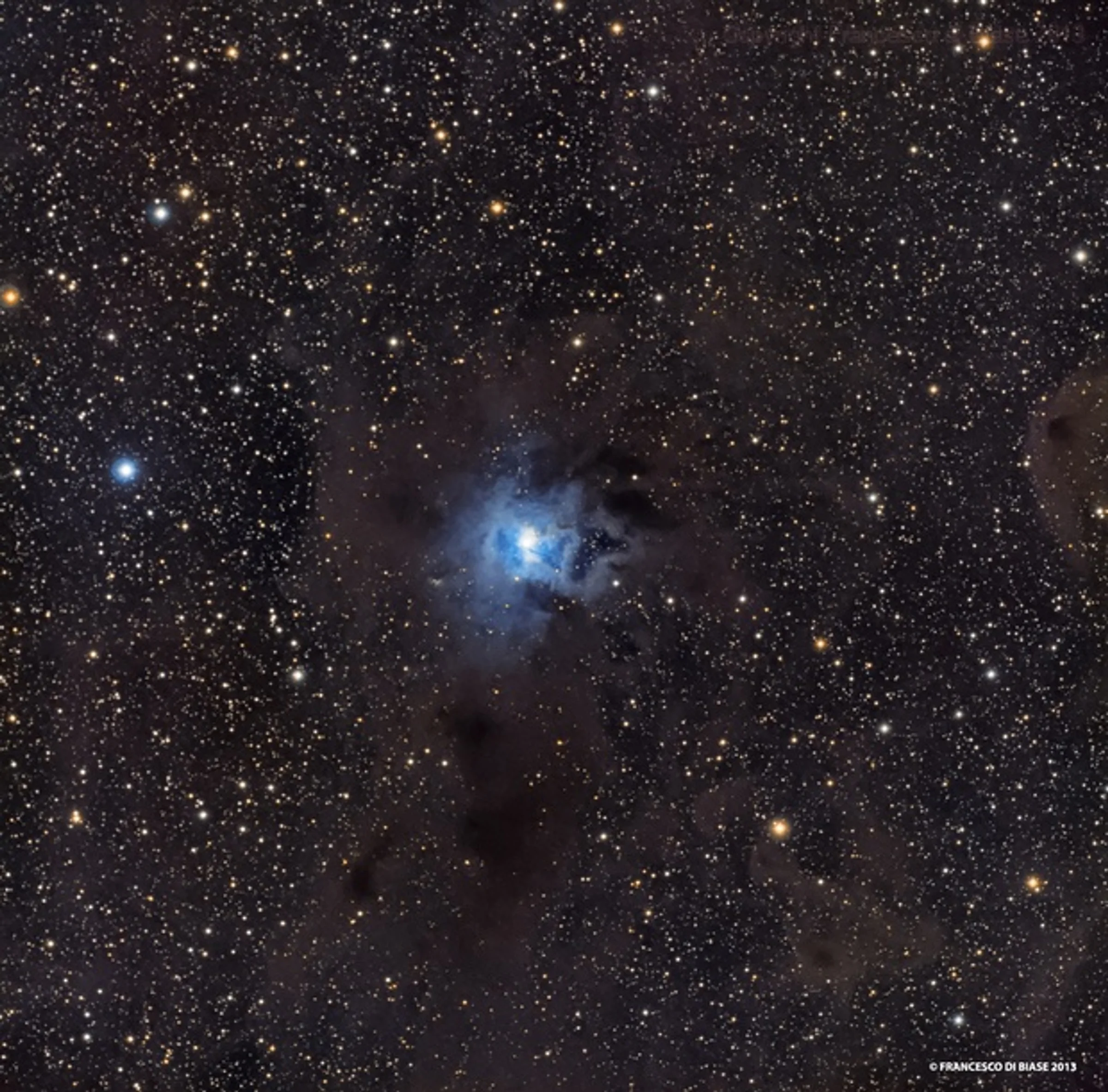 NGC 7023 Iris Nebula