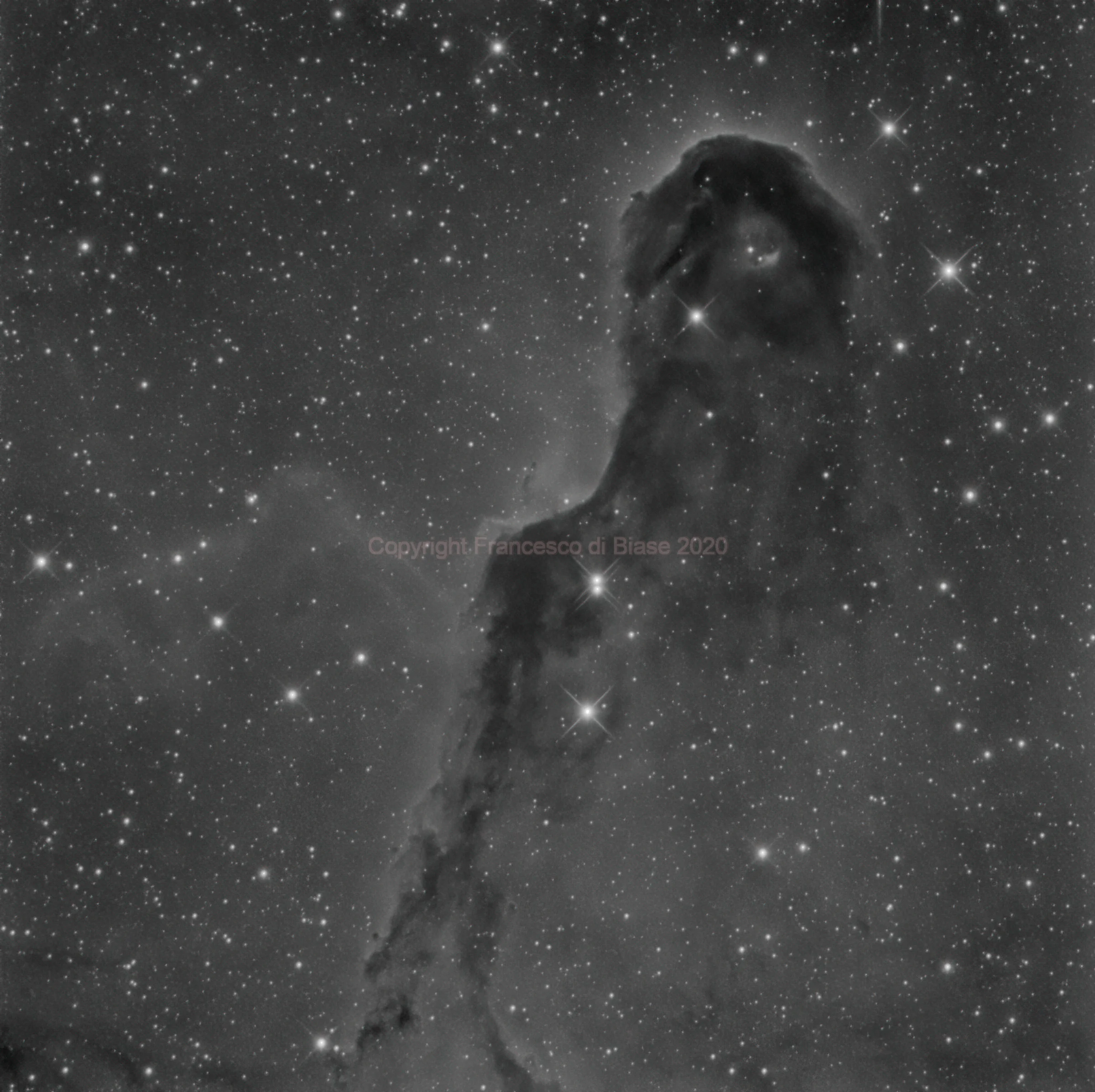 Vdb 142 Elephant's Trunk Nebula in Ha